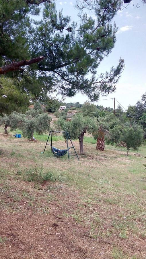 House Lagonisi Όρμος Παναγιάς Εξωτερικό φωτογραφία