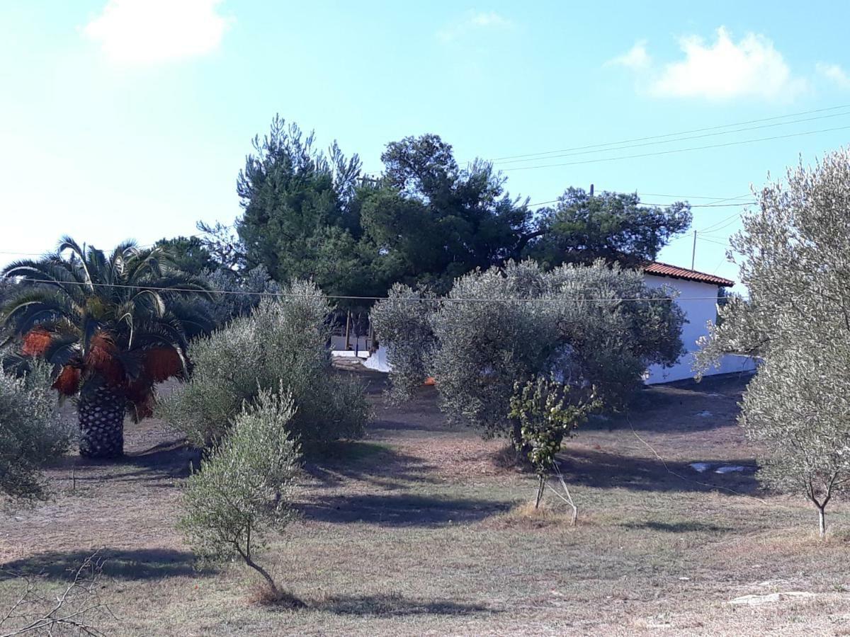 House Lagonisi Όρμος Παναγιάς Εξωτερικό φωτογραφία